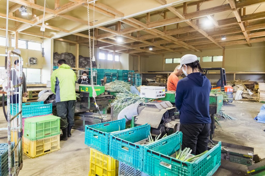 愛される野菜をつくること